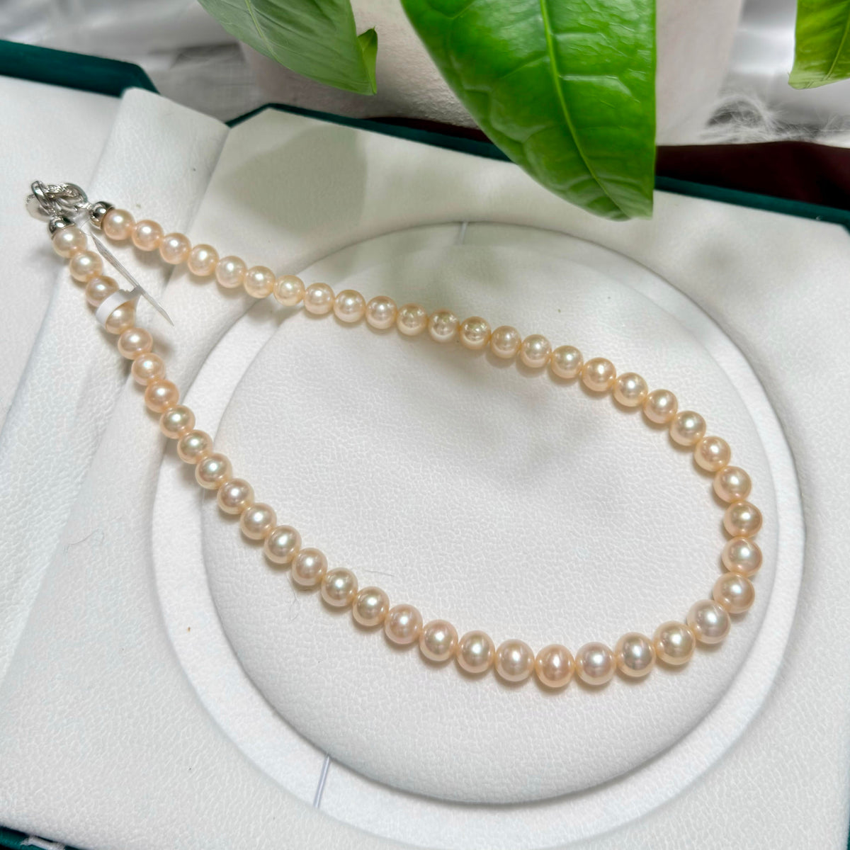 Natural freshwater pearls showing bright warm lustre and near-round shape.