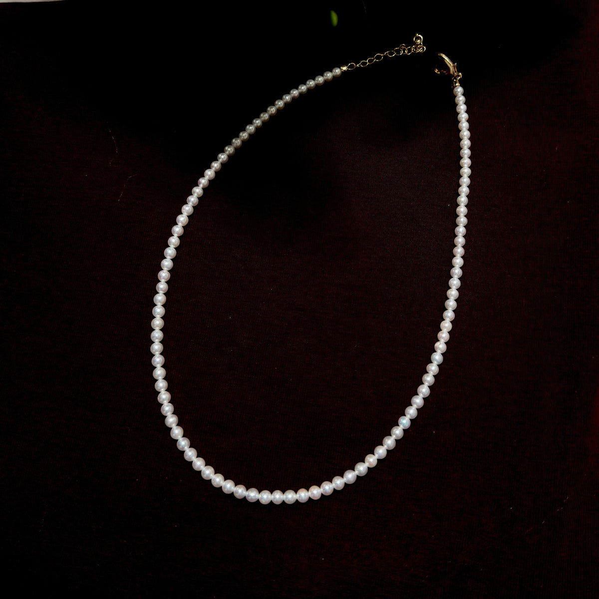 A single-strand pearl necklace with a gold clasp and extender chain, displayed on a dark, nearly black background.