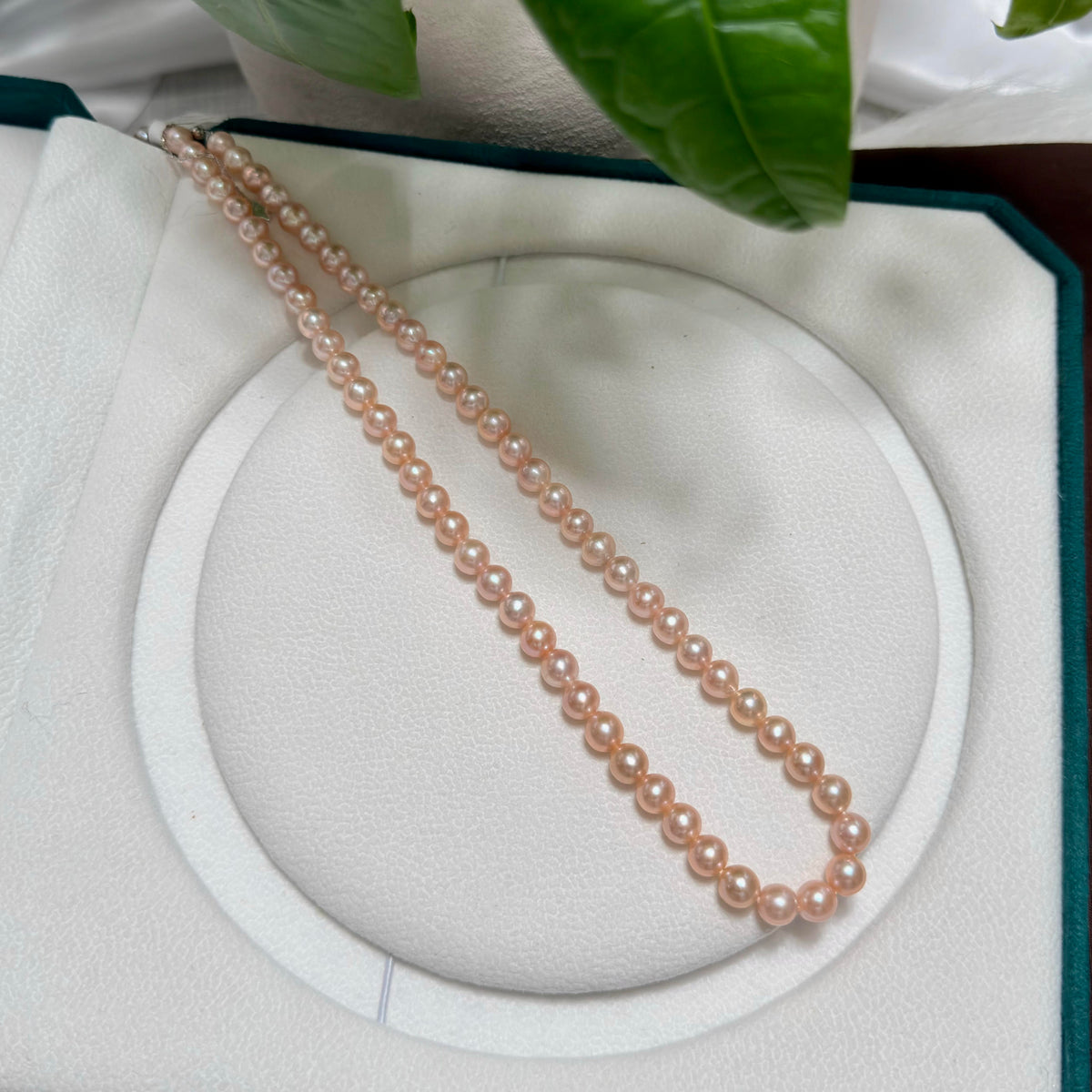 Elegant Iridescent Orange 6.5mm Freshwater Pearl Necklace