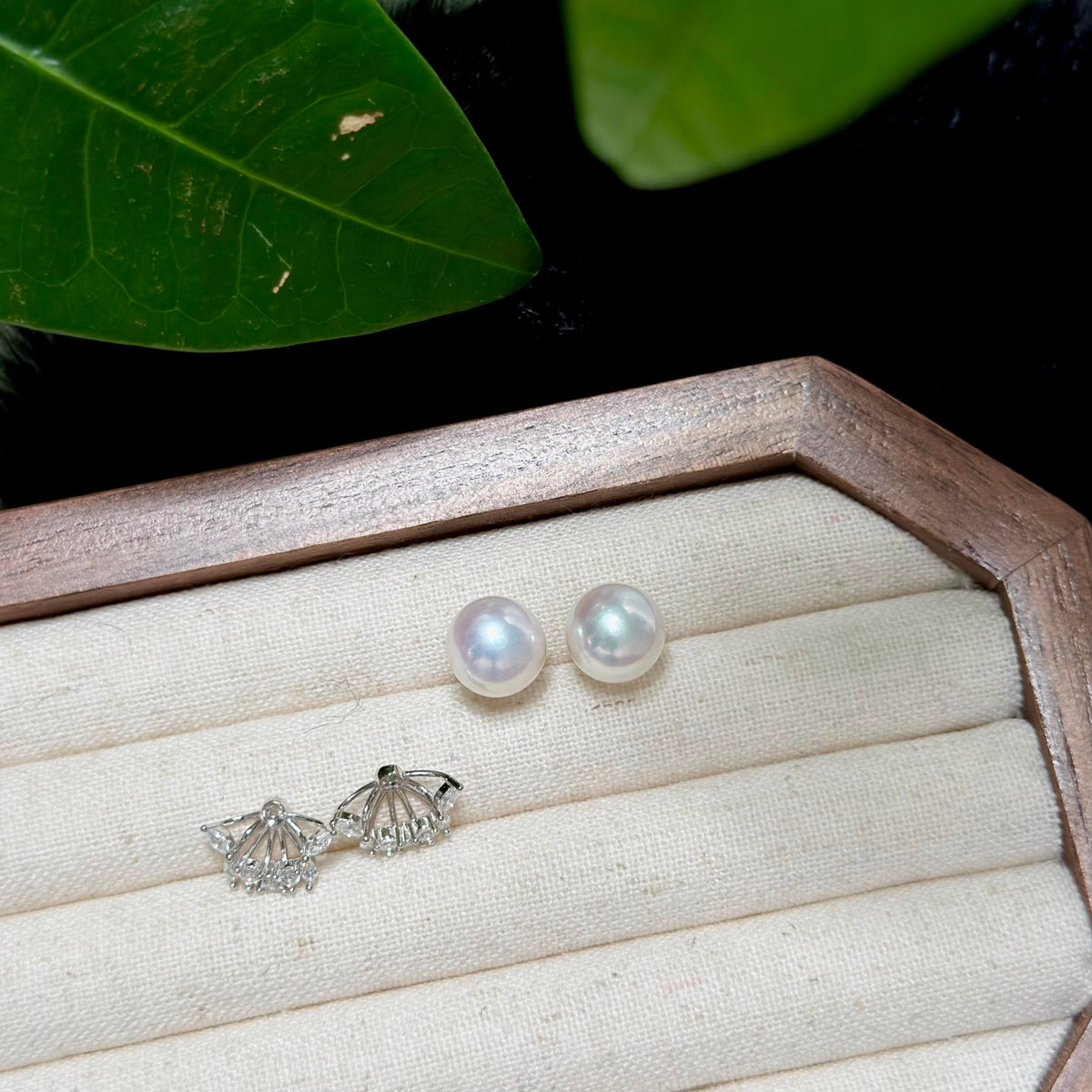 A pair of white freshwater pearl stud earrings and a pair of silver shell-shaped stud earrings displayed on a cream fabric-lined jewelry box, with green leaves in the background.