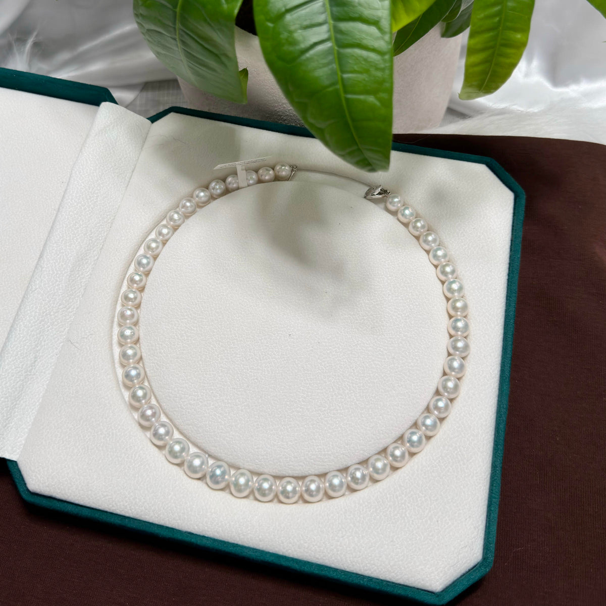 A classic freshwater pearl necklace arranged in a circle inside an open teal jewelry box with a white insert, with green leaves hanging over the top.