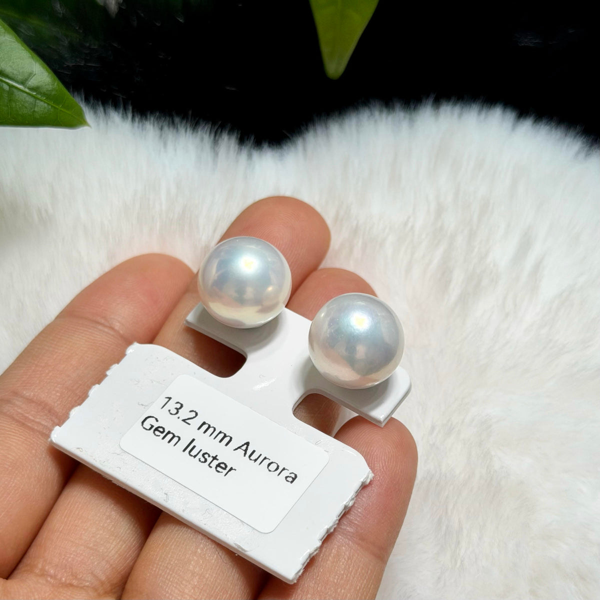 13.2mm White Pearl Stud Earrings – Aurora Luster Minimalist Large Pearls