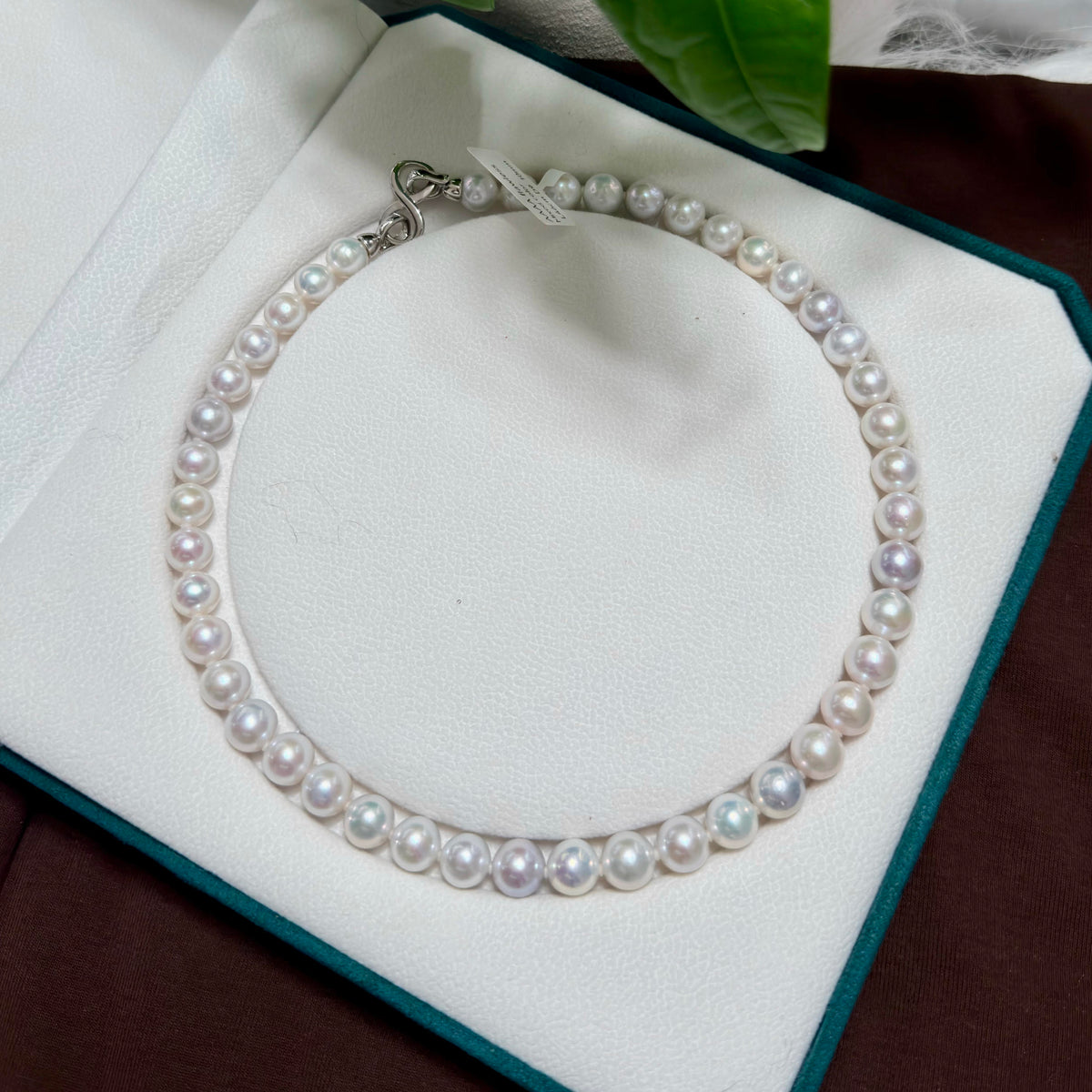 Classic single-strand freshwater pearl necklace in white with vivid blue and multicolour halo.
