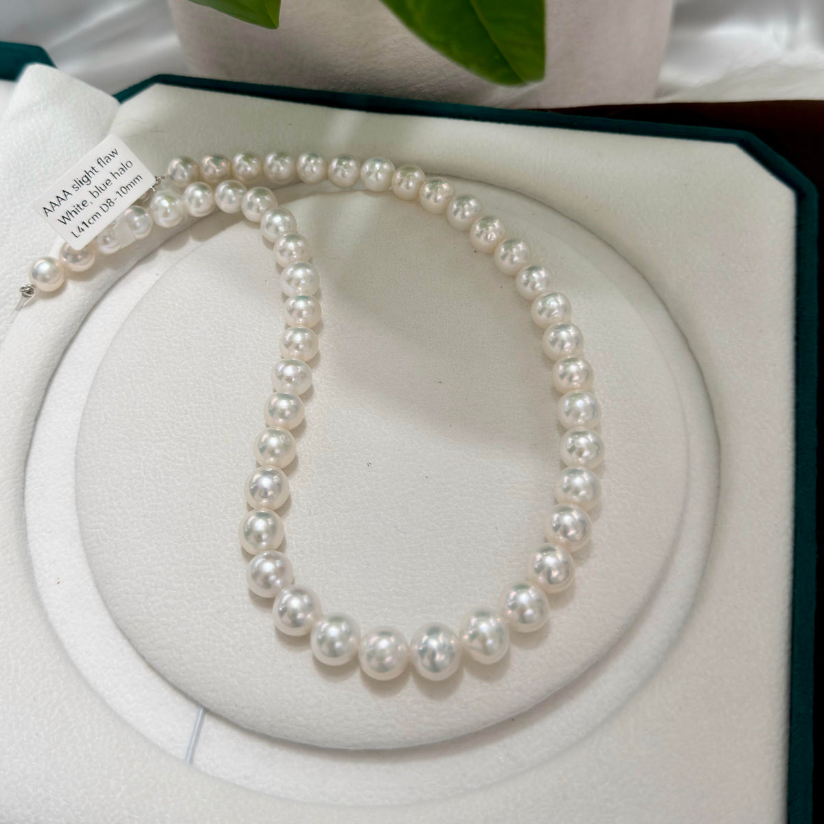 Natural freshwater pearls showing bright cool-toned lustre and near-round shape.
