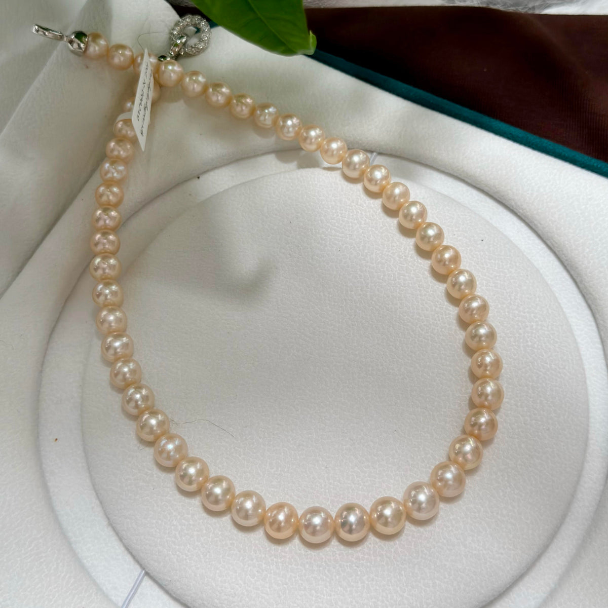 A strand of round, light pinkish-beige pearls arranged in a circle on a white jewelry display cushion, with a silver-toned clasp and a small green leaf accent visible near the top.