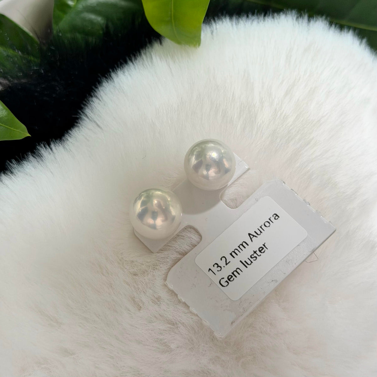 13.2mm White Pearl Stud Earrings – Aurora Luster Minimalist Large Pearls