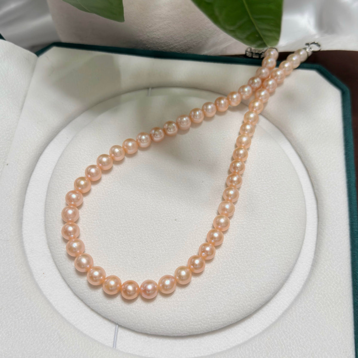 Close-up of 8–9 mm freshwater pearls with soft orange tones.
