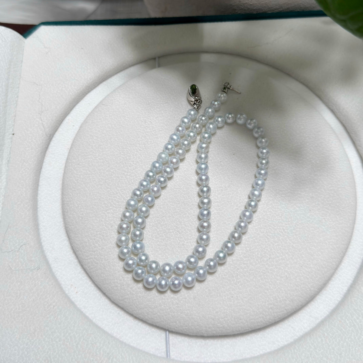 5.5–6 mm natural freshwater pearls arranged in a refined single-strand necklace.
