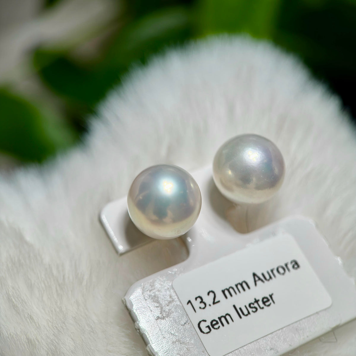 13.2mm White Pearl Stud Earrings – Aurora Luster Minimalist Large Pearls