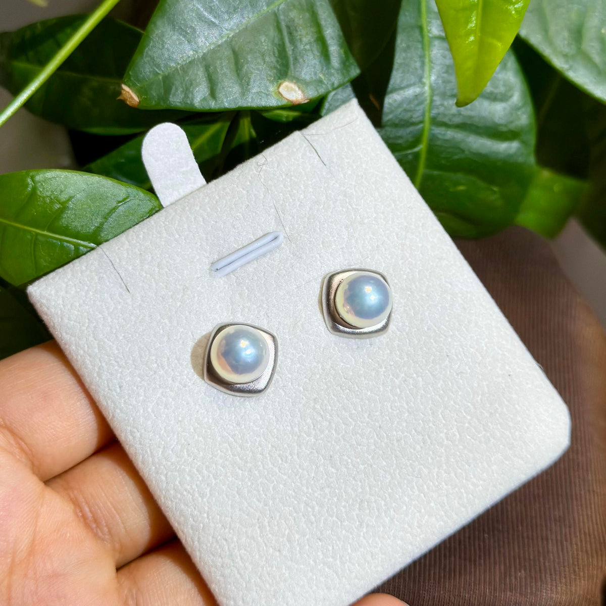 White pearl stud earrings with a modern frosted silver setting.
