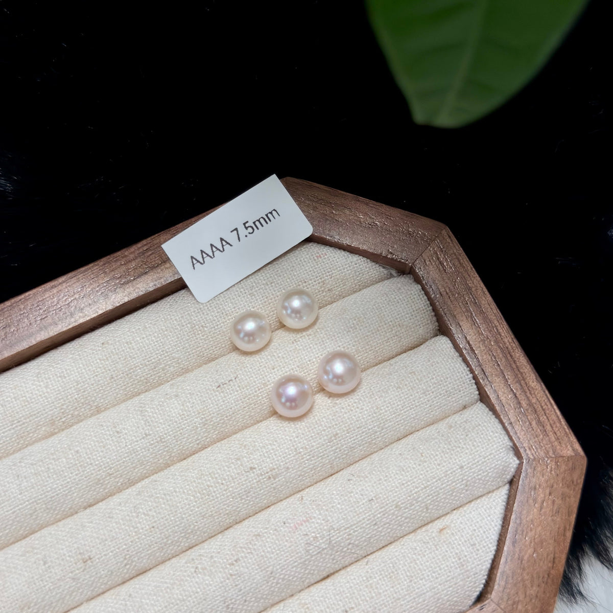 Four small round pearl stud earrings displayed on a cream fabric-lined jewelry tray inside a wooden box, with a small label reading “AAAA 7.5mm” and a dark background.