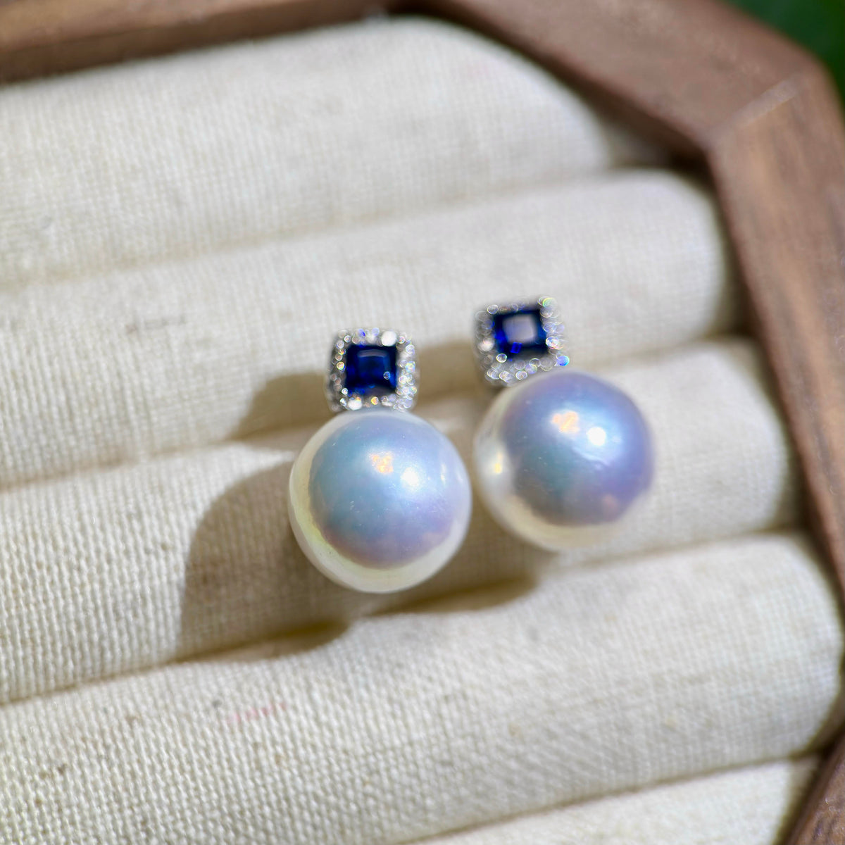 Elegant 11.2 mm white pearl earrings with refined blue accents.
