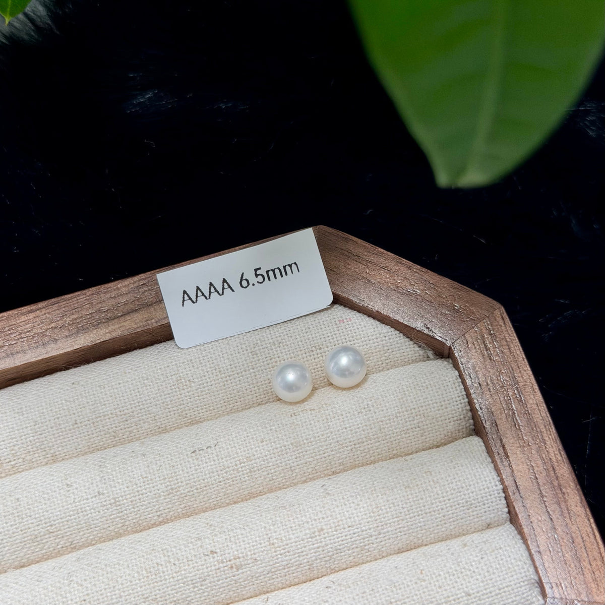 A pair of AAAA 6.5mm white pearls displayed on a beige fabric-lined jewelry box with a wooden frame, next to a white size label.