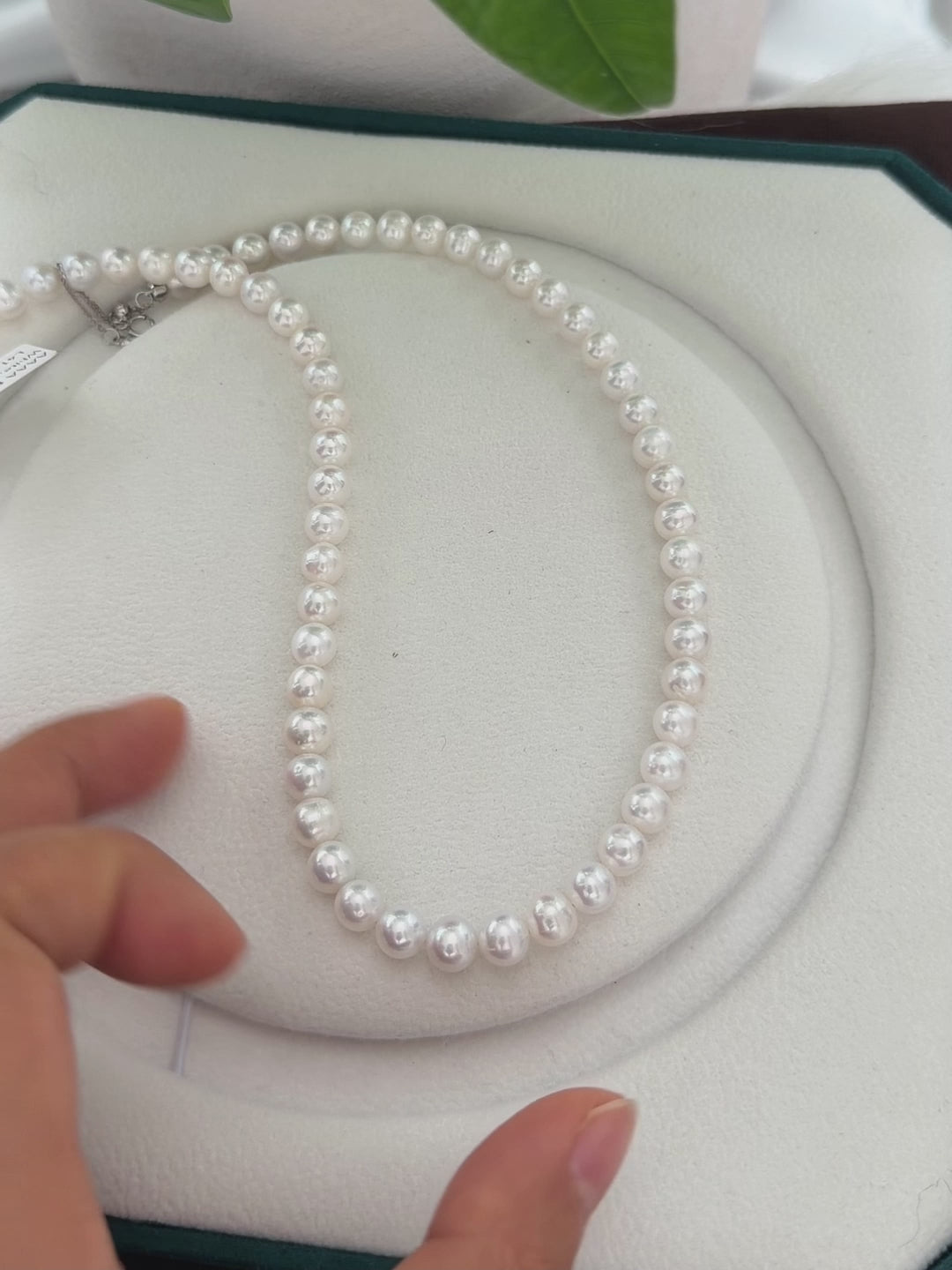 Classic freshwater pearl jewelry with luminous natural lustre.
Single-strand pearl necklace with evenly graduated visual rhythm.
