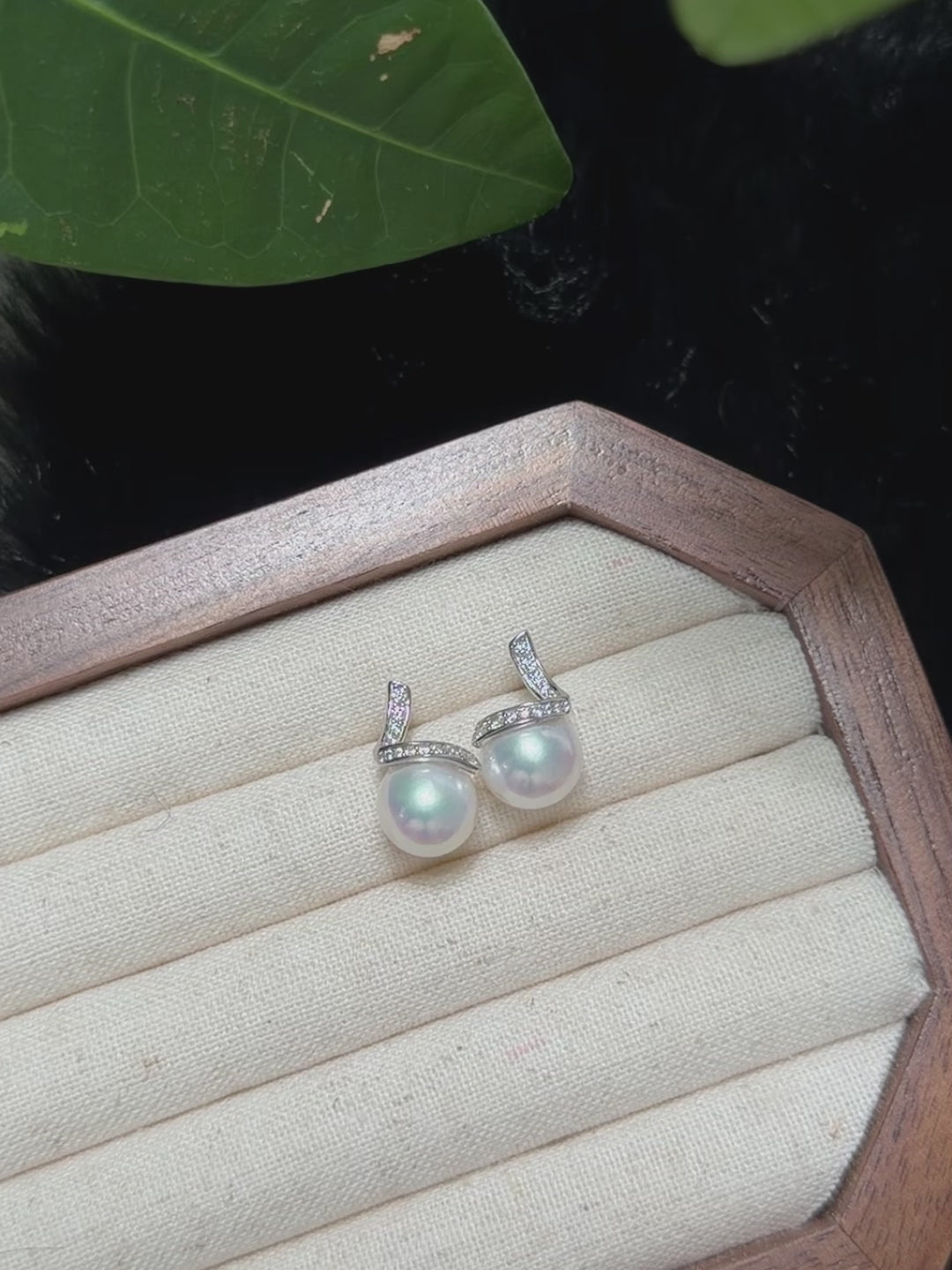 10 mm iridescent pearl earrings showing blue and pink halo reflections.