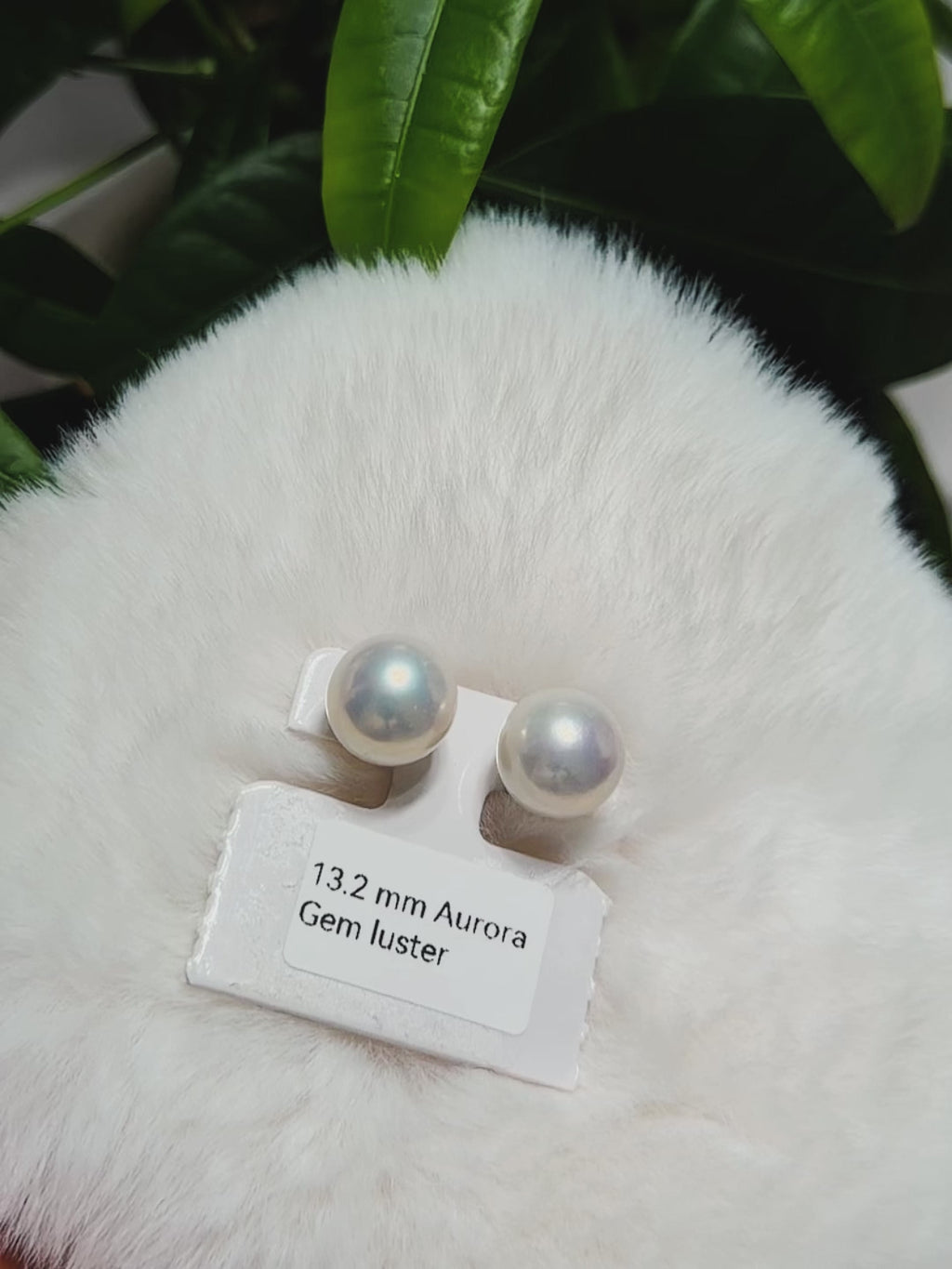 13.2mm White Pearl Stud Earrings – Aurora Luster Minimalist Large Pearls