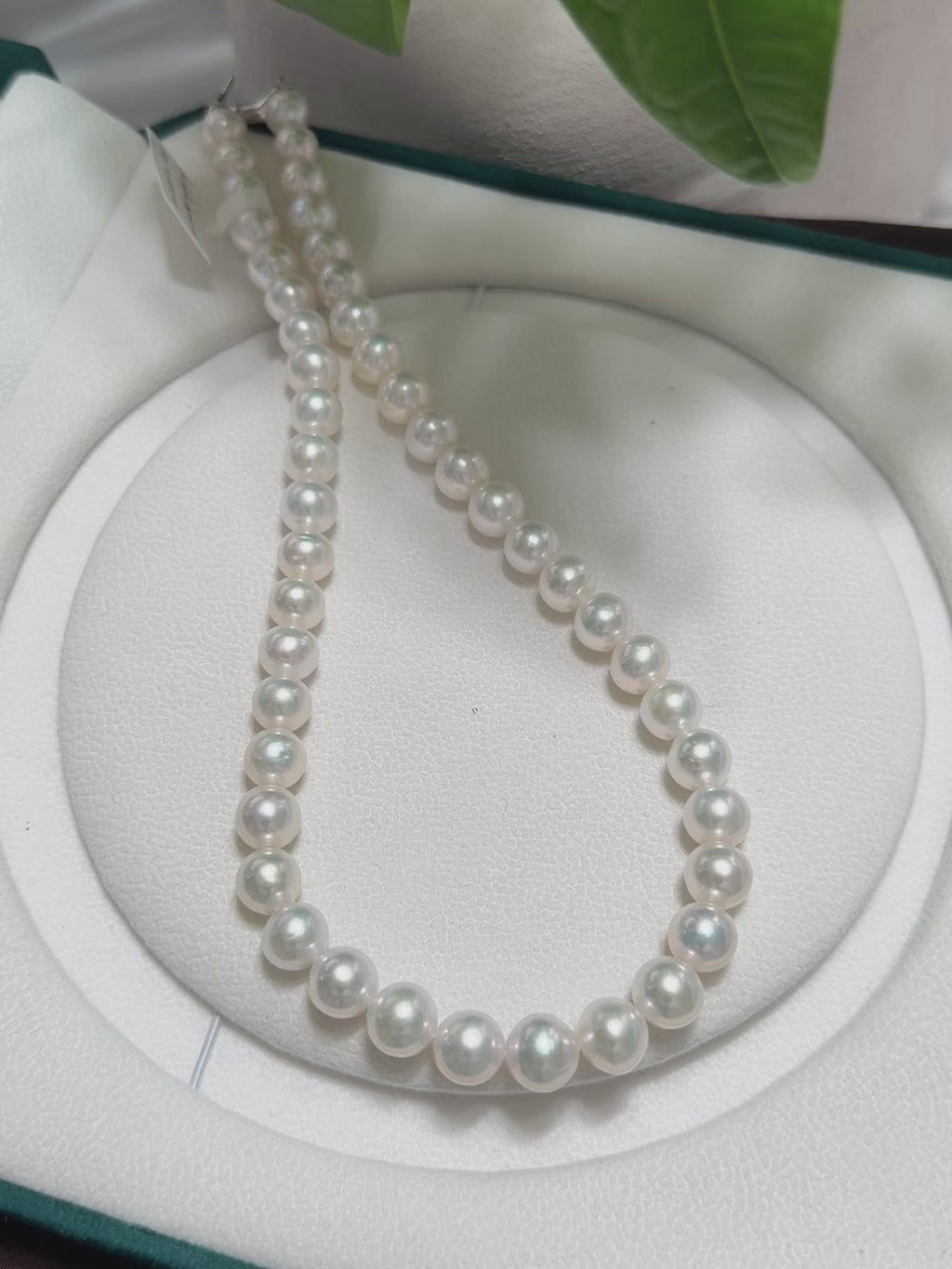 Single-strand pearl necklace with evenly graduated visual rhythm.