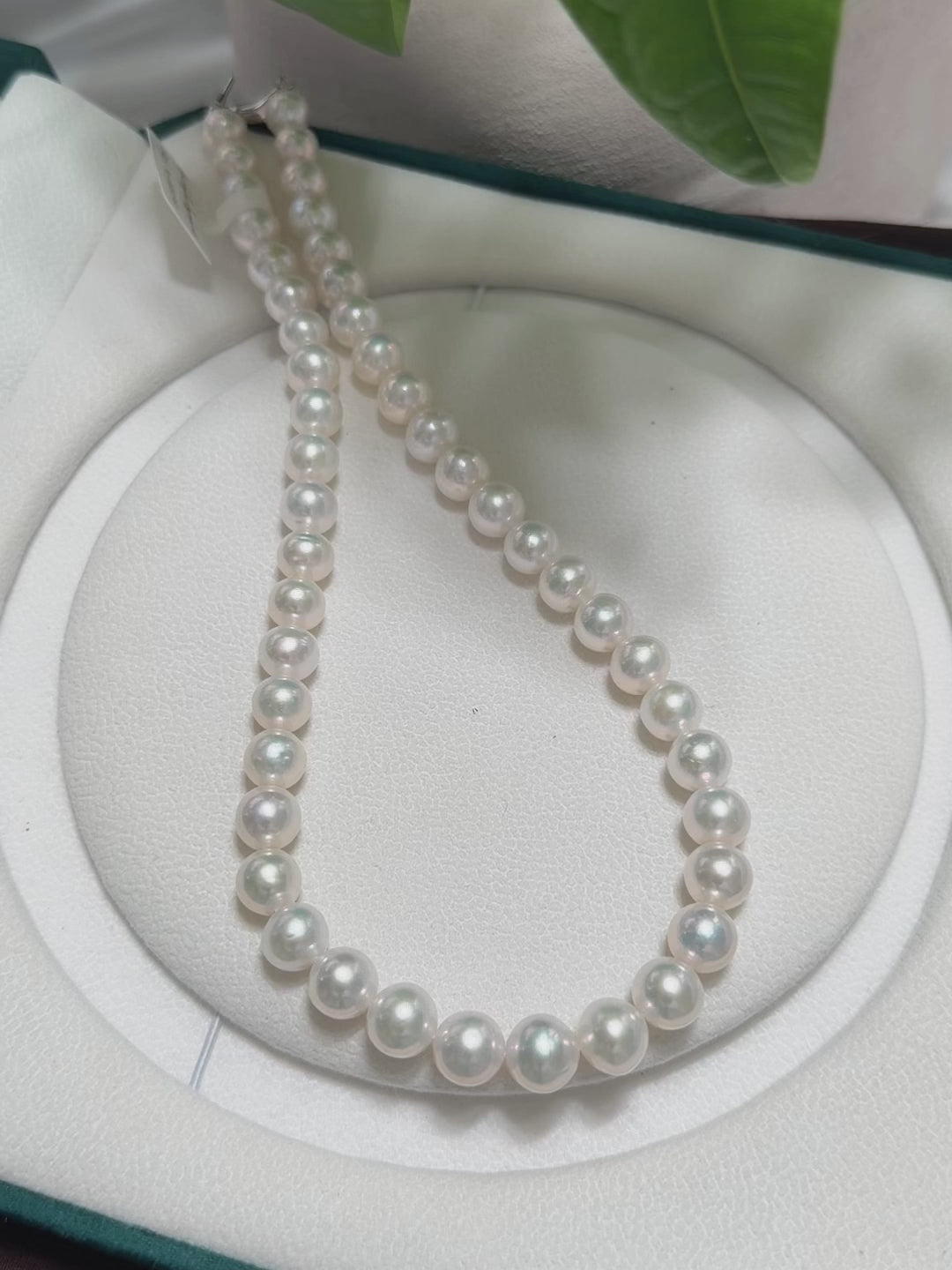 Single-strand pearl necklace with evenly graduated visual rhythm.