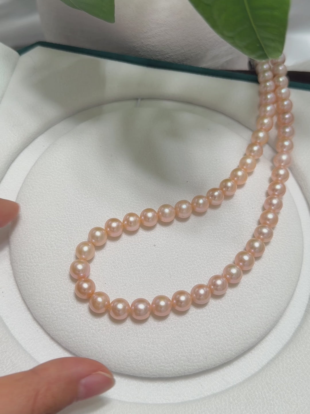 Luminous peach freshwater pearls with a soft warm glow.