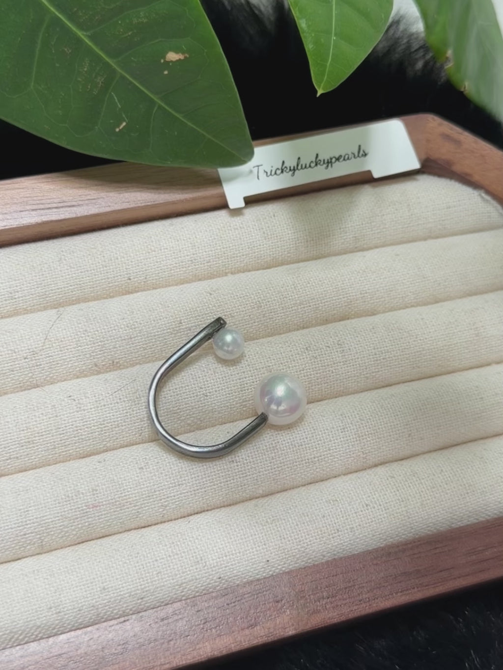 Double White Pearl Open Black Band Ring
